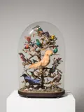 Französisch, Südamerikanische Tropenvögel unter Glassturz, Präparate: Tiefland-Felsenhahn (Rupicola rupicola), Smaragdbreitrachen (Calyptomena viridis), Eisvogel (Alcedo atthis), Kellenschnabel-Breitrachen (Cymbirhynchus macrorhynchos), Blauwangen-Bartvogel (Psilopogon asiaticus), Elfenblauvogel (Irena puell