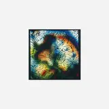 Bruce Conner, Slide from light shows with the North American Ibis Alchemical Company, c. 1967, print with hand-coloring on acetate slide