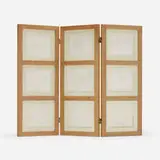 Francisco Toledo, Collection of nine drawings