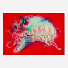 Jongwang Lee, Evolution, 2006, acrylic, oil, resin and sumi ink on canvas over wood panel
