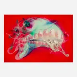 Jongwang Lee, Evolution, 2006, acrylic, oil, resin and sumi ink on canvas over wood panel