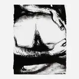 Untitled II (from the Sex Parts series) by Andy Warhol, 1978, screenprint on HMP, offered Sep 2022