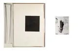 Rosemarie Trockel, White Carrot