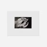 Duane Stephen Michals, Untitled (from The Indomitable Spirit Portfolio)
