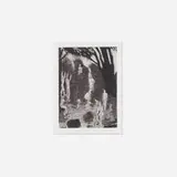 Carlos Almaraz, Bathers, 1984, etching and aquatint with scraping