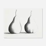 Martha Alf, Two Pears #50, 1994, ink on paper