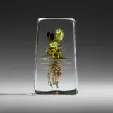 Paul Stankard, Tall Botanical paperweight