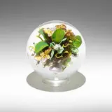 Paul Stankard, Botanical orb