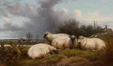Aster R. Chantrey Corbould, Sheep at pasture