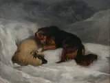 Sir Edwin Landseer Ra and Studio, The Rescue
