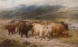 Henry Garland, Highland Cattle