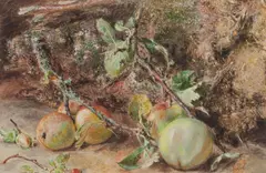 Ows William Henry Hunt, Fallen Apples and Branches