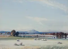 Tom Campbell, Sheep by a river bank