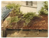 Viktor Paul Mohn, Beranktes Dach, Um 1870, Aquarell über Bleistift auf Papier