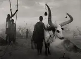 Sebastião Salgado, Sud-Soudan, 2006, Silbergelatineabzug