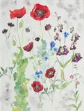 Jenny Matthews, Poppies and Delphiniums