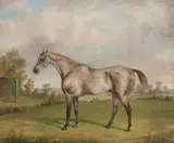 George Henry Laporte, Portrait of a grey horse, oil on canvas