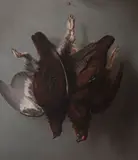 Grouse in a larder by English School 19th century, oil on canvas, sold Oct 2017
