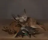 Hare, Teal and Woodcock by English School, oil on canvas, sold Oct 2017