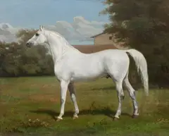 Julius Von Blass, Portrait of a grey horse, oil on canvas