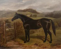 Benjamin Cam Norton, Horse in a landscape,, oil on canvas