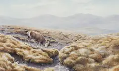 Stags in peat hags by Owen Williams, watercolour, offered Oct 2017