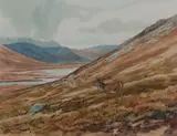 Brian Rawling, Stag in a highland landscape, watercolour