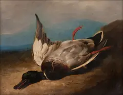 Mallard by English School, oil on canvas, sold Oct 2017