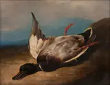 Mallard by English School, oil on canvas, sold Oct 2017