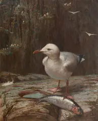 George Frederick Harris, Herring Gull with herring, oil on canvas
