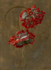 Zwei rot-weiße Nelken by Franz Xaver Gruber, Öl auf Papier, auf leichtem Karton aufgezogen, sold Nov 2024
