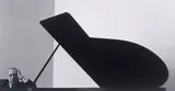 Arnold Newman, Igor Strawinsky, New York City