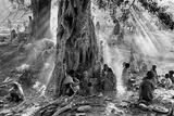 TiGrAY“, Äthiopien by Sebastião Salgado, 1985, Silbergelatineabzug, sold May 2014