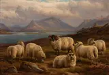 Rca Charles Jones, Sheep in a Landscape,