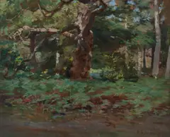 Robert Payton Reid Arsa, Cadzow Forest