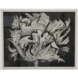 Lowell Nesbitt, Parrot Tulip Bloom III, 1973, Drypoint etching