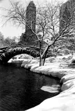 Alfred Eisenstaedt, Central Park after a Snowstorm, New York