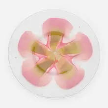 Pastel plate by Tiffany Studios, c. 1899, hand-blown glass, sold Sep 2022