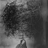 Roger Ballen, Twirling Wires