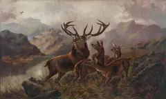 Robert Cleminson, Stag & Hinds, oil on canvas