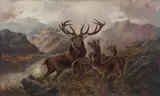 Robert Cleminson, Stag & Hinds, oil on canvas