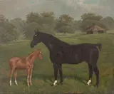 William Albert Clark, A Hackney mare and foal "Capenor Forbid" no. 23897, oil on canvas