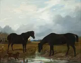 Richard Ansdell Ra, Two dark bay horses, oil on canvas