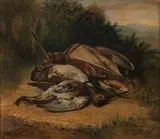 David Cunliffe, Woodcock and Snipe, oil on canvas
