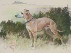 Peter Biegel, 'Spider', pastel