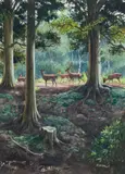 Rodger McPhail, Fallow Deer in Woodland