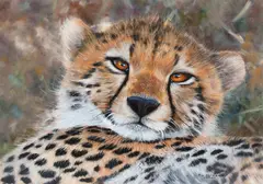 Cheetah by Pip McGarry, oil on canvas, sold May 2017