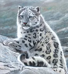 Snow leopard by Pip McGarry, oil on canvas, offered May 2017