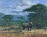 John Trickett, Black Rhino, Mount Kilimanjaro