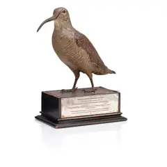 Franz Bergmann, cold-painted bronze of a woodcock, cold-painted bronze